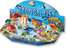 3D puzzle Tropické ryby pro děti – skládačka se základnou a 9 díly